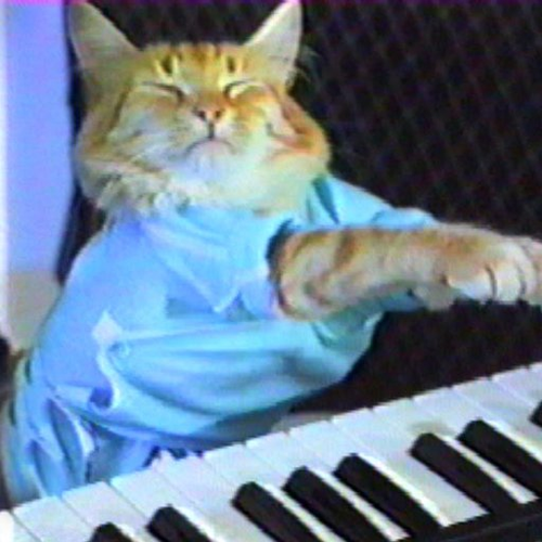 Keyboard Cat — Fatso in a blue shirt playing the keyboard